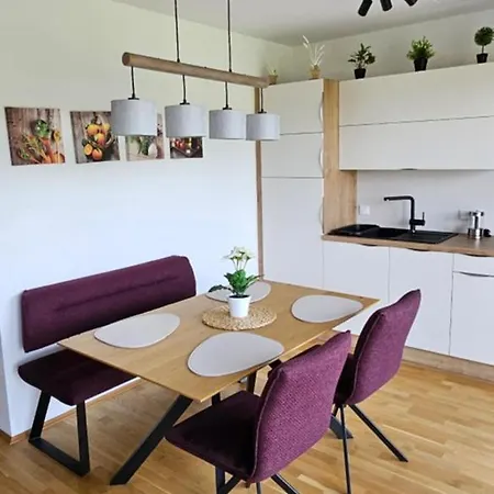 Apartment Schlossblick - Penthouse
